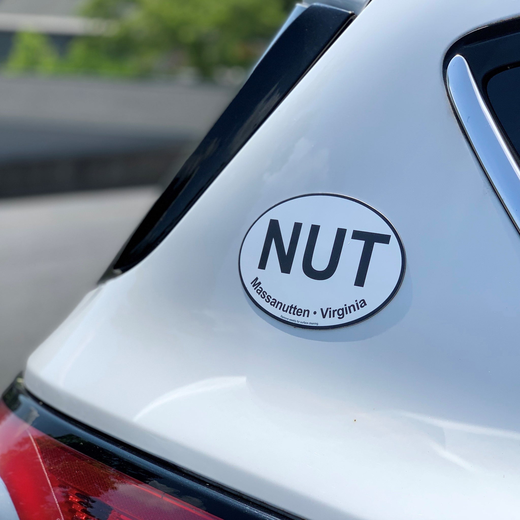 Classic NUT Car Magnet – Shop Massanutten